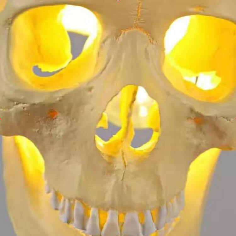 Skull Pendant Light Resin Skull Ceiling Lamp with Iron Fittings Hanging Light Gothic Halloween Pendant Lamp for Living Room | Dining Room and Bar