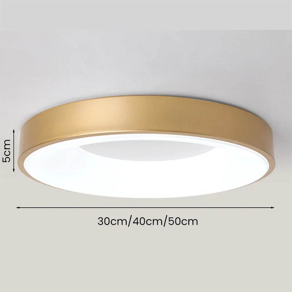 Round Flush Mount Ceiling Light with Diffuser