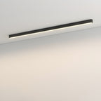 Minimalist Linear Metal Ceiling Light for Living Room — Ashbury Home & Living