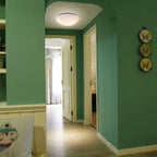 Modern Glass Flush Mount Ceiling Light — Ashbury Home & Living