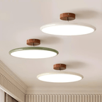 Adjustable Disc Ceiling Light With Low Profile Mount