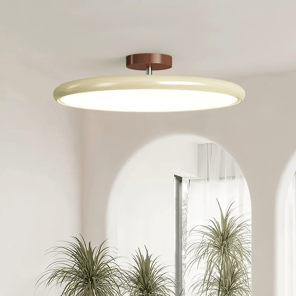 Adjustable Disc Ceiling Light With Low Profile Mount