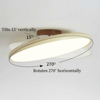 Adjustable Disc Ceiling Light With Low Profile Mount