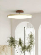 Adjustable Disc Ceiling Light With Low Profile Mount