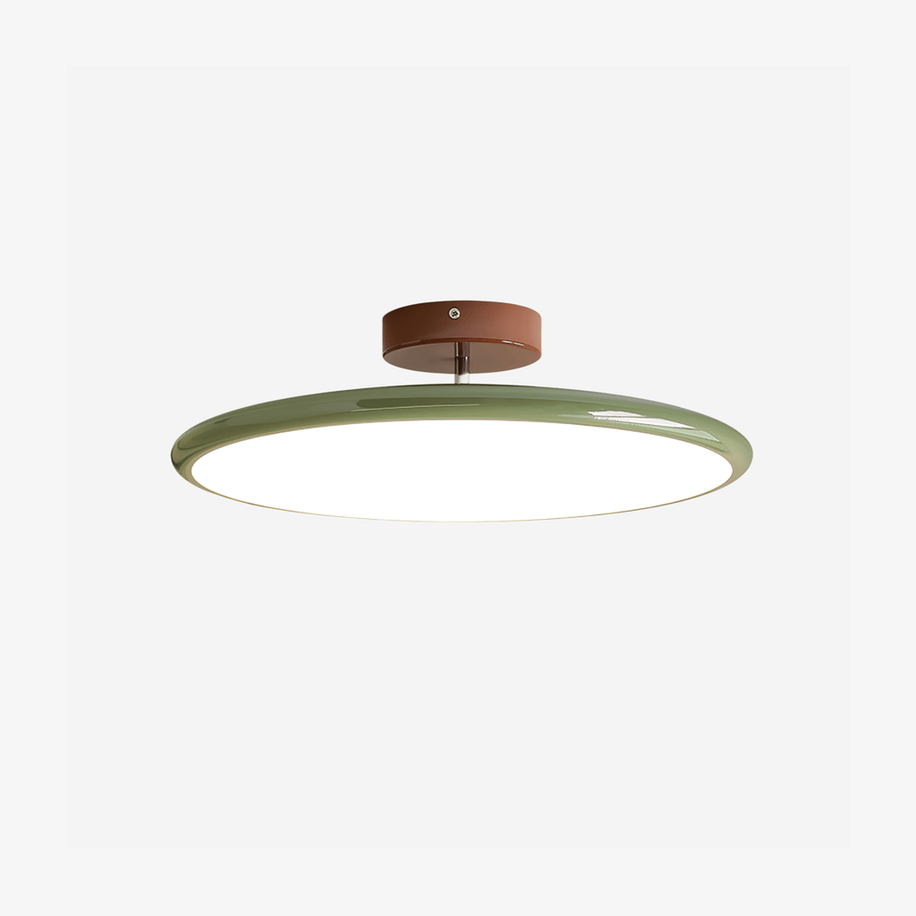 Adjustable Disc Ceiling Light With Low Profile Mount