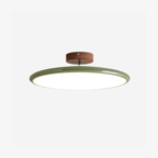 Adjustable Disc Ceiling Light With Low Profile Mount