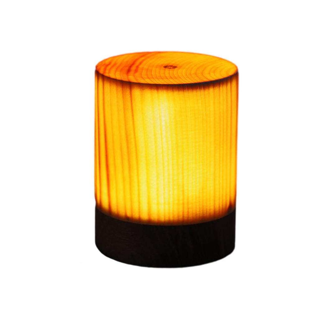 Wooden Modern Table Lamp With Rechargeable Battery For Bedroom — Ashbury Home & Living