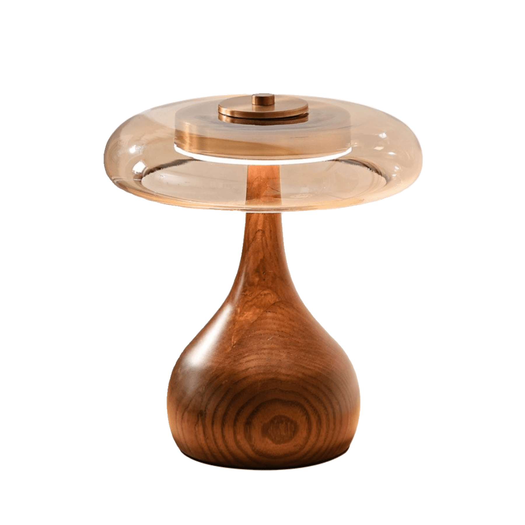Contemporary Ash Wood And Brass Table Lamp With Glass Shade — Ashbury Home & Living