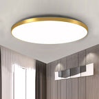 Minimalist Round LED Ceiling Light With Flush Mount Design