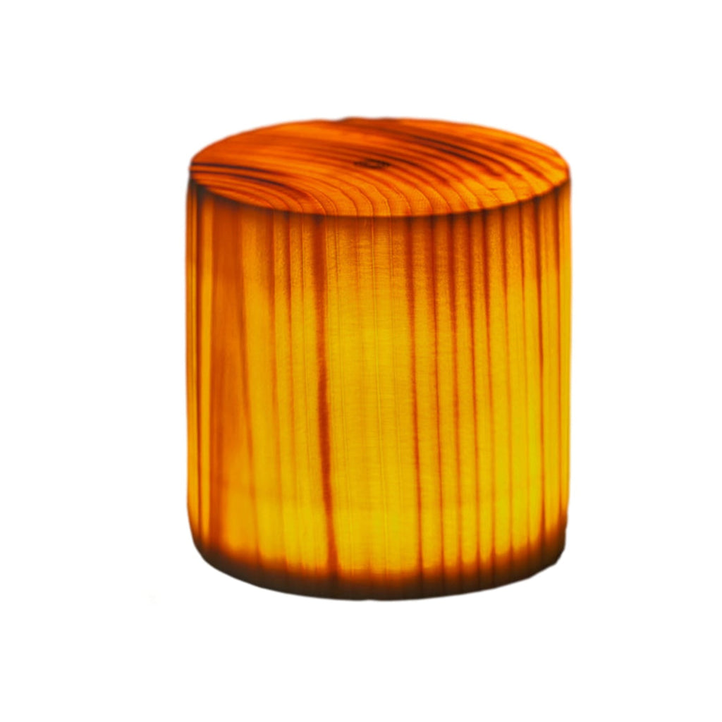 Wooden Modern Table Lamp With Rechargeable Battery For Bedroom — Ashbury Home & Living