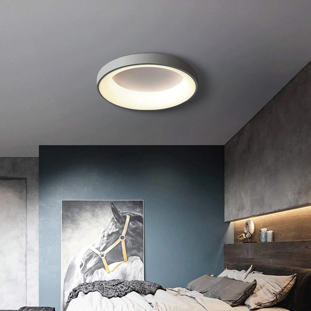 Round Flush Mount Ceiling Light with Diffuser
