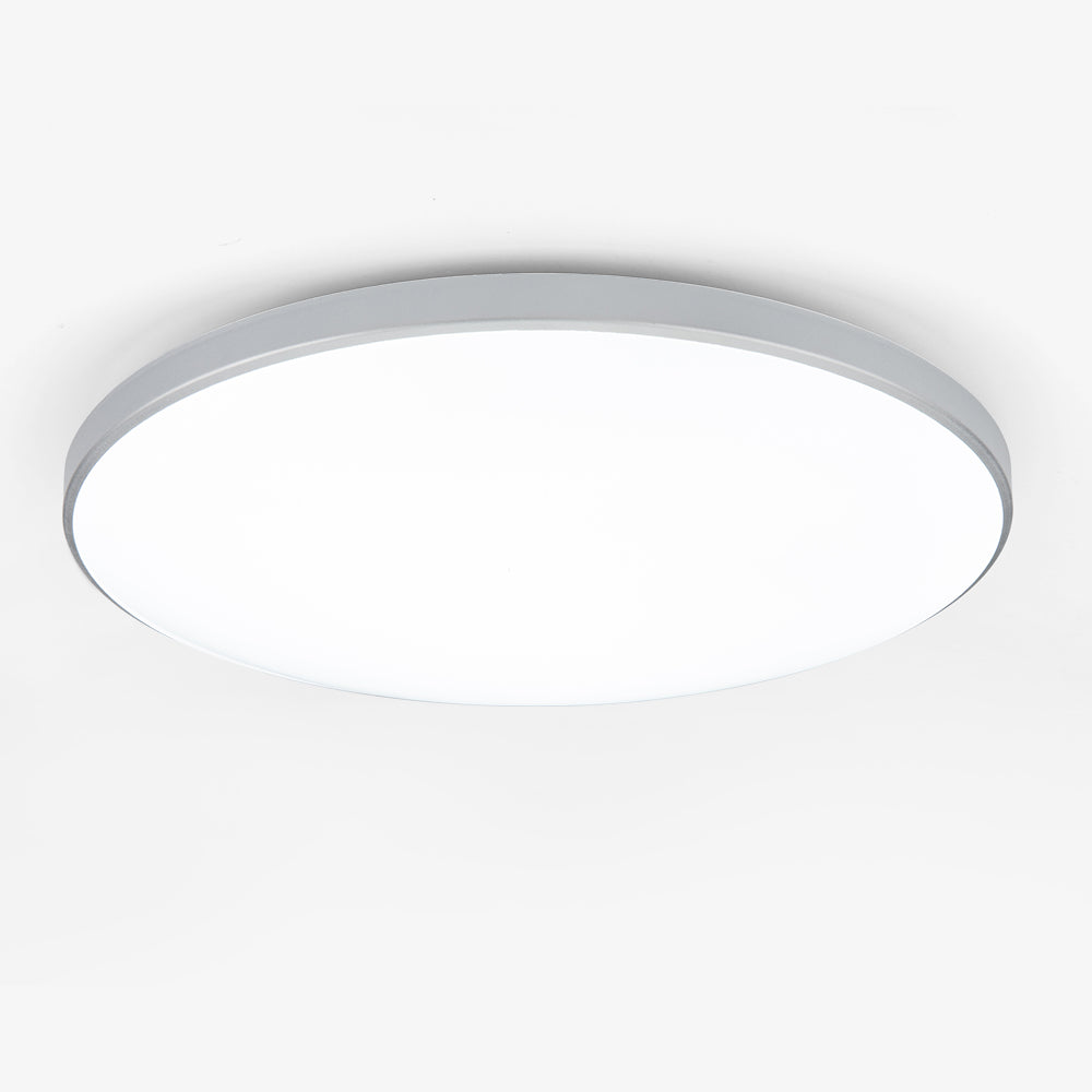 Minimalist Round LED Ceiling Light With Flush Mount Design