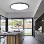 Minimalist Round LED Ceiling Light With Flush Mount Design