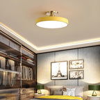 Modern Circular LED Flush Mount Ceiling Light With Iron Frame