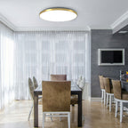 Minimalist Round LED Ceiling Light With Flush Mount Design