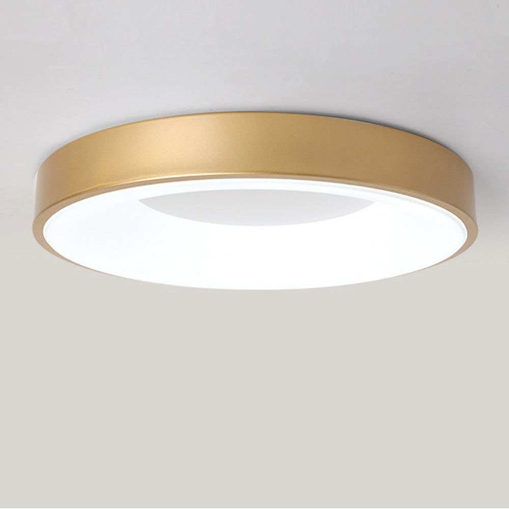 Round Flush Mount Ceiling Light with Diffuser