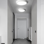 Minimalist Iron Flush Mount Ceiling Light With Slim Low-Profile Design — Ashbury Home & Living