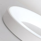 Round Flush Mount Ceiling Light with Diffuser