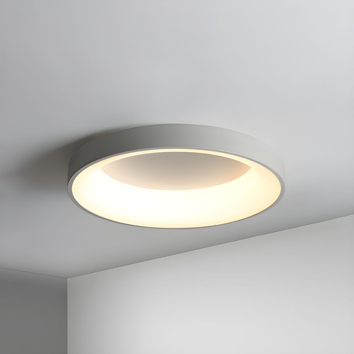 Round Flush Mount Ceiling Light with Diffuser