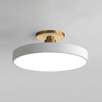 Modern Circular LED Flush Mount Ceiling Light With Iron Frame