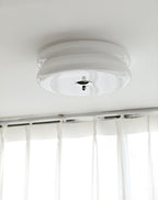 Art Deco Vintage Glass Flush Mount Ceiling Light