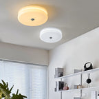 Art Deco Vintage Glass Flush Mount Ceiling Light