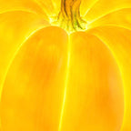 Pumpkin Floor Lamp Resin LED Outdoor Garden Light Waterproof Pumpkin Shaped Lantern Halloween and Autumn Decoration for Patio and Lawn