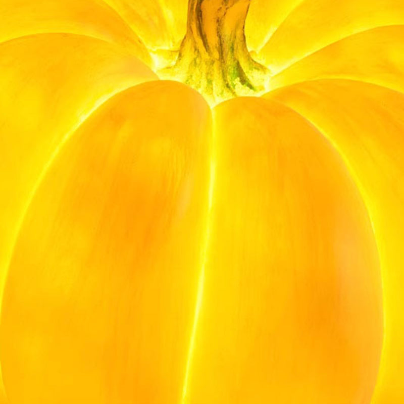 Pumpkin Floor Lamp Resin LED Outdoor Garden Light Waterproof Pumpkin Shaped Lantern Halloween and Autumn Decoration for Patio and Lawn