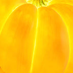 Pumpkin Floor Lamp Resin LED Outdoor Garden Light Waterproof Pumpkin Shaped Lantern Halloween and Autumn Decoration for Patio and Lawn