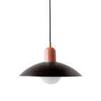 Bauhaus Minimalist Wrought Iron Pendant Light With Dome Shade