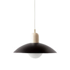 Bauhaus Minimalist Wrought Iron Pendant Light With Dome Shade