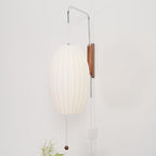 Ribbed Oval Wall Sconce With Pull Chain And Curved Arm