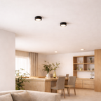 Modern Iron Flush Mount Ceiling Light — Ashbury Home & Living