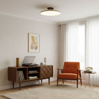 Adjustable Disc Ceiling Light With Low Profile Mount