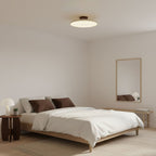 Adjustable Disc Ceiling Light With Low Profile Mount