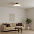 Adjustable Disc Ceiling Light With Low Profile Mount