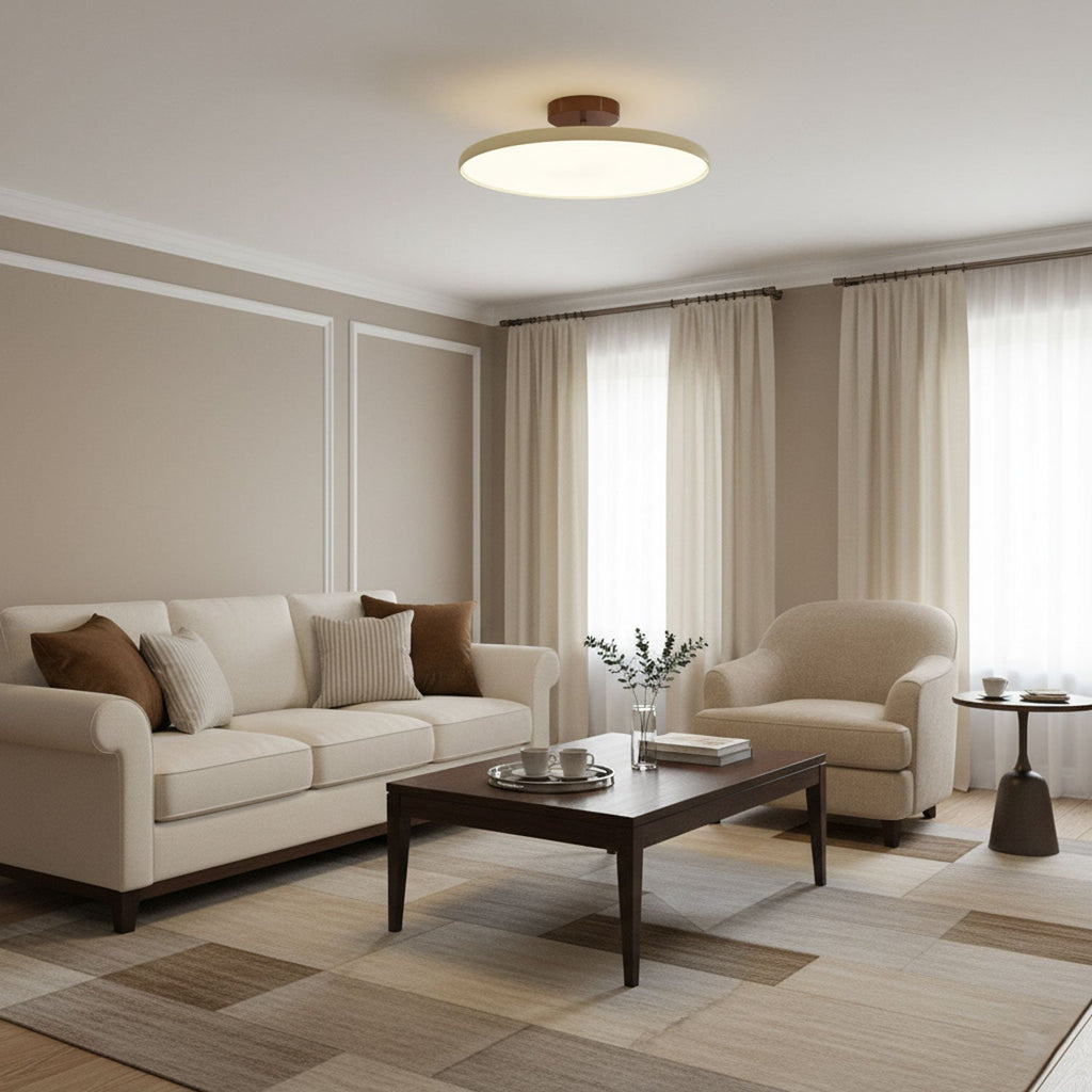 Adjustable Disc Ceiling Light With Low Profile Mount