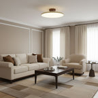 Adjustable Disc Ceiling Light With Low Profile Mount