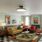 Adjustable Disc Ceiling Light With Low Profile Mount