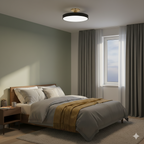 Modern Circular LED Flush Mount Ceiling Light With Iron Frame