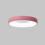 Round Flush Mount Ceiling Light with Diffuser