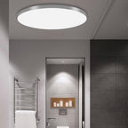 Minimalist Round LED Ceiling Light With Flush Mount Design
