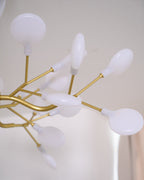 Branching Sputnik Chandelier With Frosted Teardrop Glass Shades