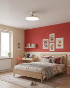 Floating Disc Ceiling Light With Offset Canopy