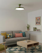 Floating Disc Ceiling Light With Offset Canopy