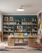 Floating Disc Ceiling Light With Offset Canopy