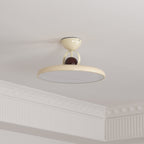 Floating Disc Ceiling Light With Offset Canopy
