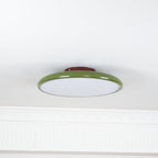 Adjustable Disc Ceiling Light With Low Profile Mount