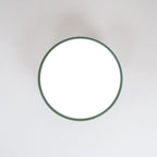 Adjustable Disc Ceiling Light With Low Profile Mount