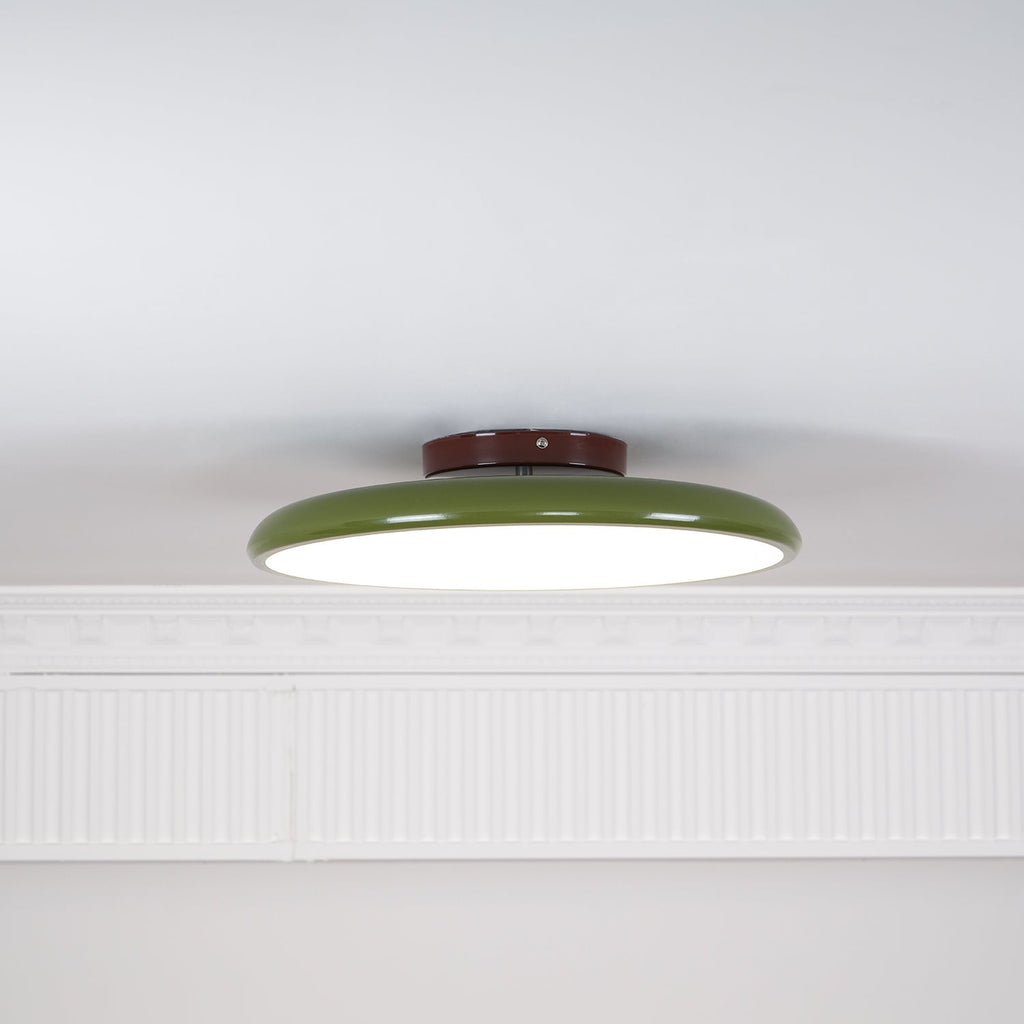Adjustable Disc Ceiling Light With Low Profile Mount